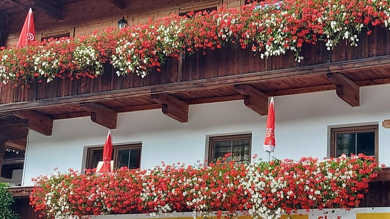 Zellner Appartement
