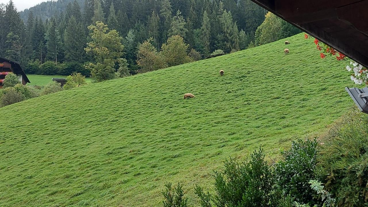 Appartement Zellner Alpbach