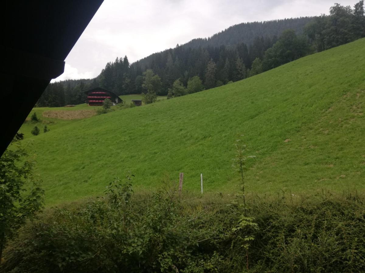 Apartament Zellner *