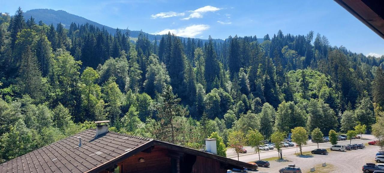Appartement Zellner