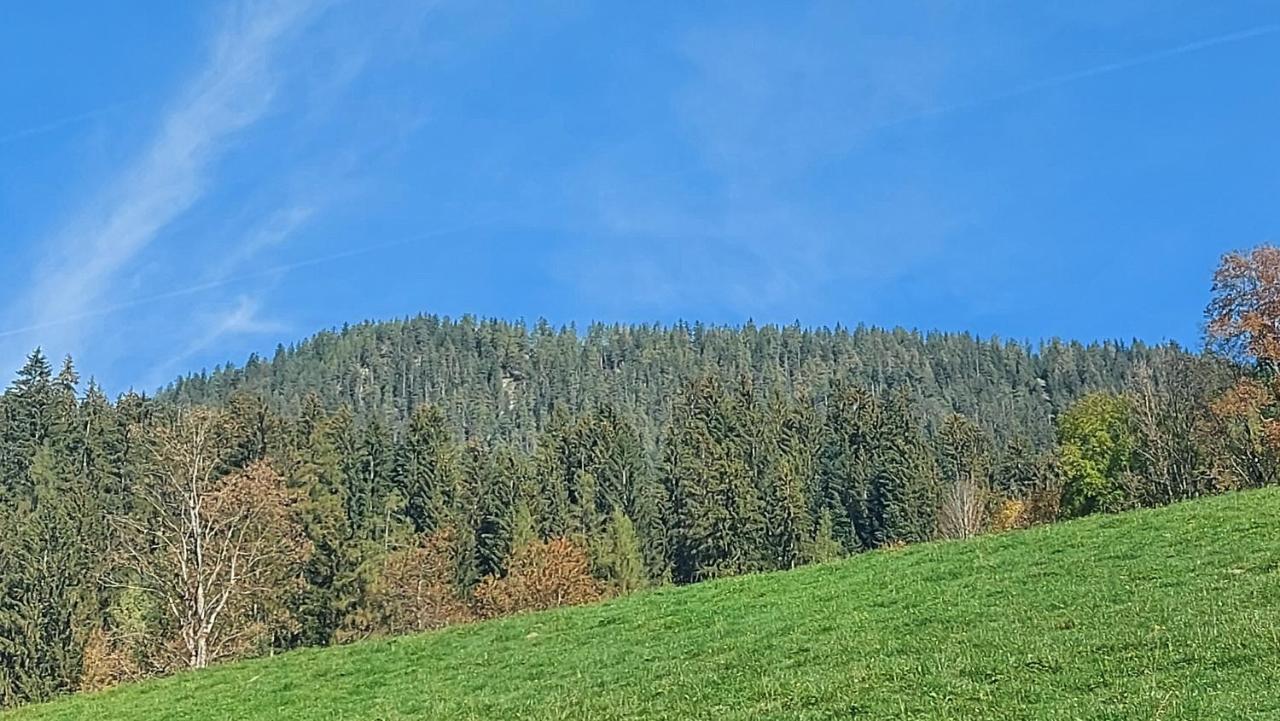 Apartament Zellner Alpbach