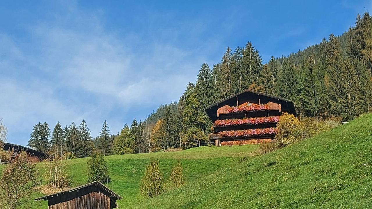Apartment Zellner
