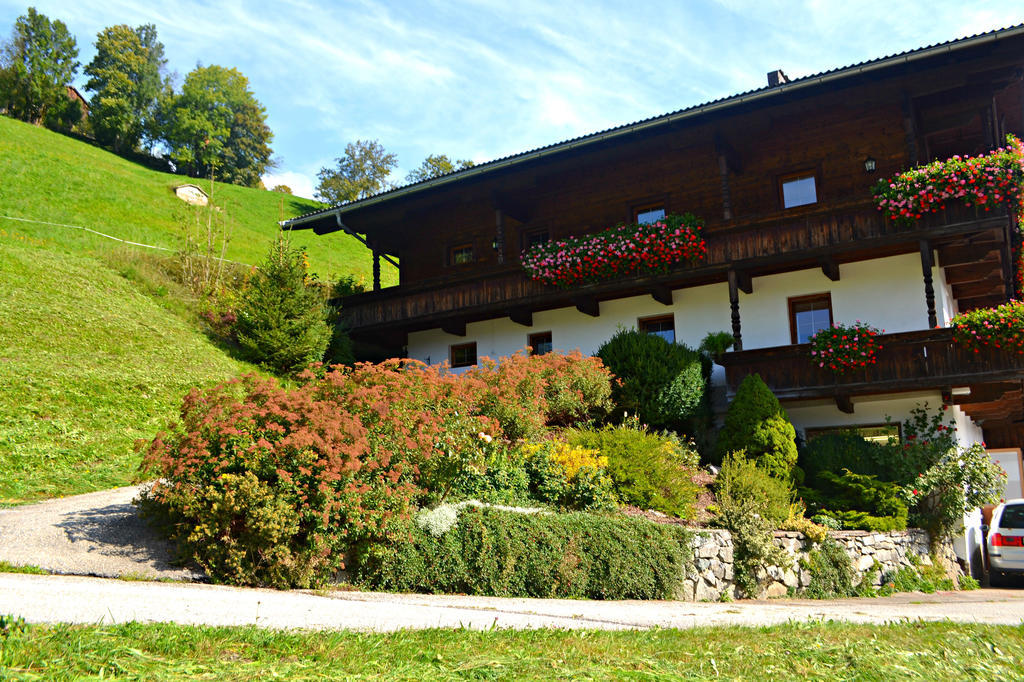 Apartment Zellner